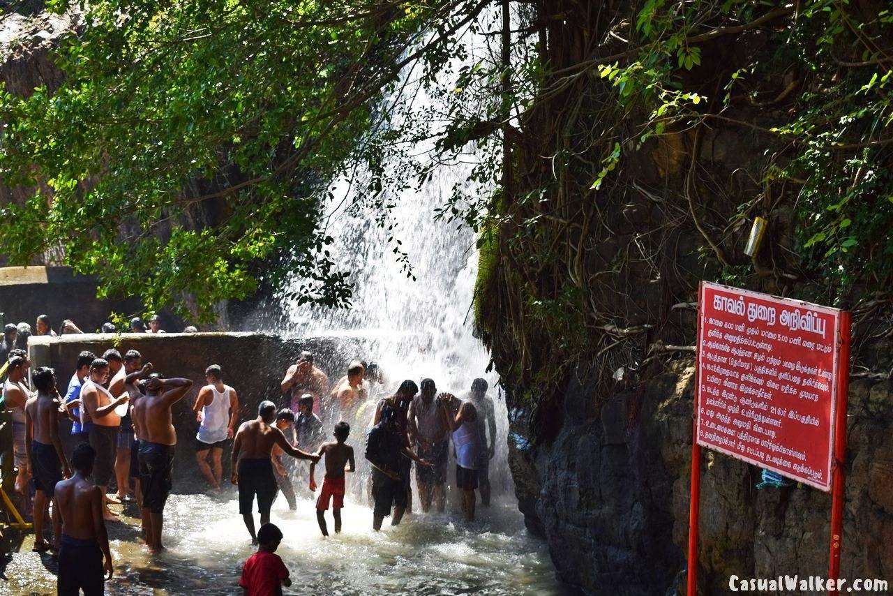 Agasthiyar Falls Papanasam – Oldest Waterfalls in Papanasam ...