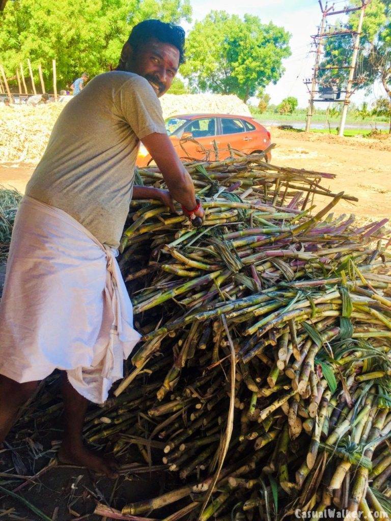 Sugarcane Organic Jaggery / Achu Vellam / Manda Vellam production in ...