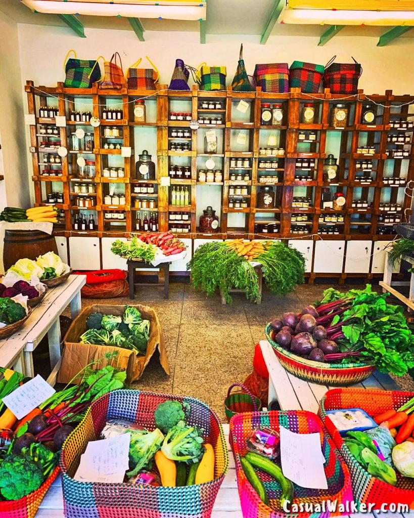 The Farm, Chennai ecofriendly Restaurant, Bed & Breakfast, Organic