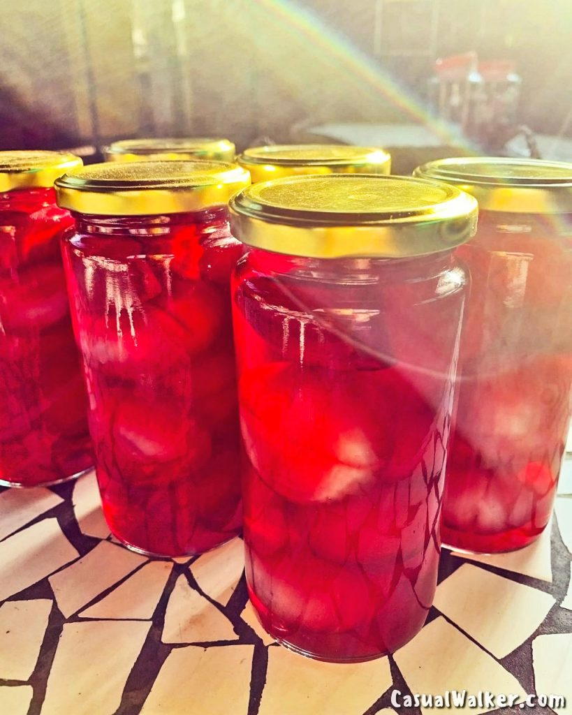 The Farm, Chennai ecofriendly Restaurant, Bed & Breakfast, Organic