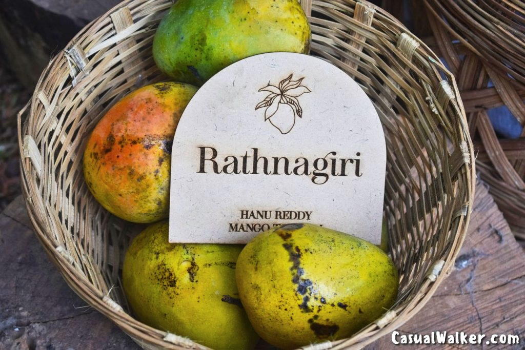 The Great Mango Festival by Hanu Reddy Mango Tourism at Hanu Reddy