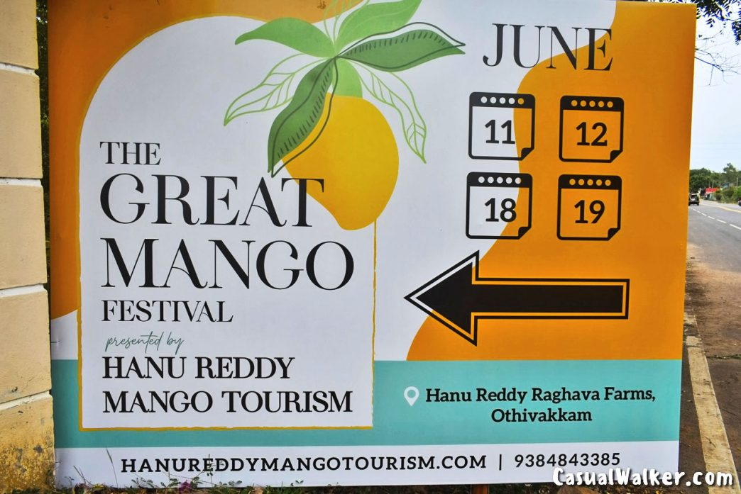 The Great Mango Festival by Hanu Reddy Mango Tourism at Hanu Reddy ...