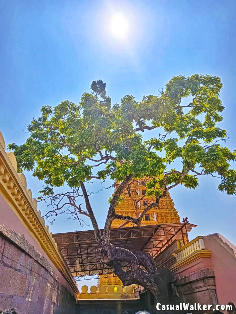 Sri Chamundeshwari Temple in Chamundi Hills Mysore - where Mahishasura ...