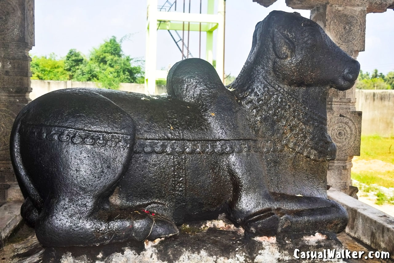 Sri Shenbakeswarar Temple: A 1200-Year-Old Lord Shiva Temple In Natham Parameswara Mangalam, Chengalpattu | Exploring A Unique Temple Where Nandi Faces Opposite Direction Of Lord Shiva - Visit, Temple Timings, History, Contact Number, Travel Guide - Casual Walker