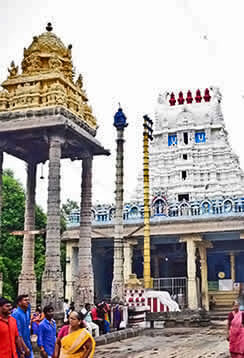 Lord Athi Varadar / Varadaraja Perumal Temple, Kanchipuram