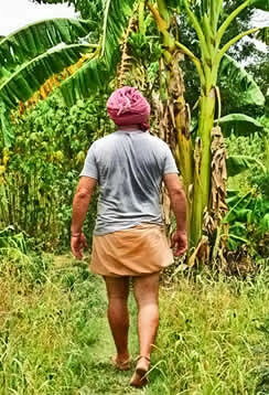 Solitude Farm – Food Discovery Trail, Auroville, Pondicherry
